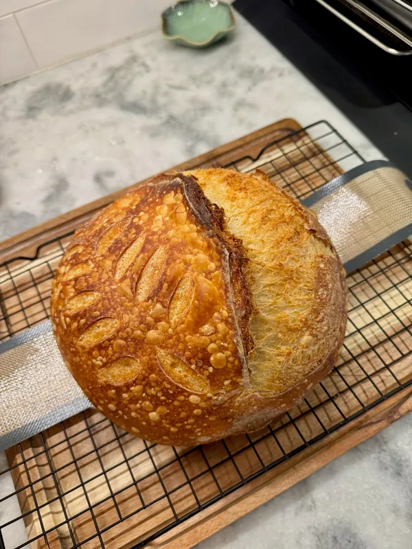 Golden sourdough loaf with decorative wheat stalk scoring